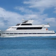 Sarah Sun Island