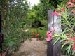 Entry of a Private Garden.