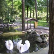 Hotel Valdor Cavallino 5.jpg