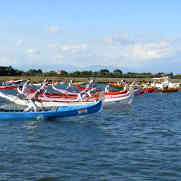 Regata Burano