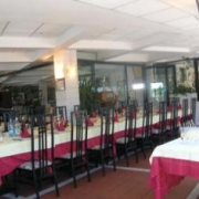 Blue Moon Fiammingo Cavallino 3.jpg